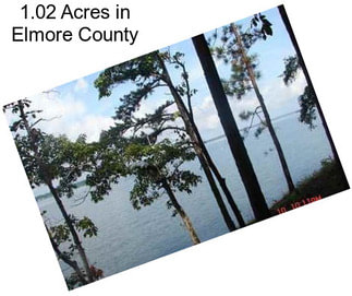 1.02 Acres in Elmore County
