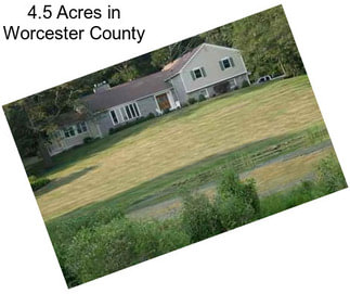 4.5 Acres in Worcester County