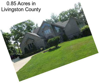 0.85 Acres in Livingston County