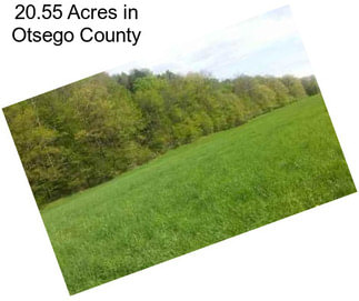 20.55 Acres in Otsego County