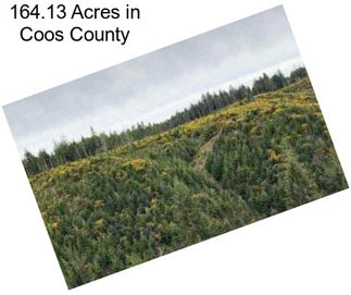 164.13 Acres in Coos County