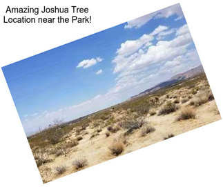Amazing Joshua Tree Location near the Park!