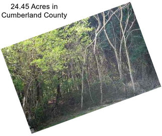 24.45 Acres in Cumberland County