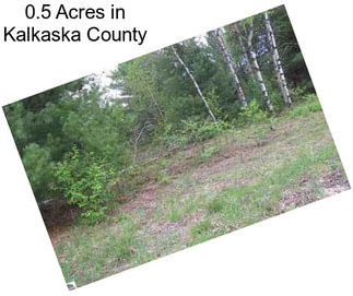 0.5 Acres in Kalkaska County