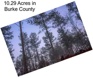 10.29 Acres in Burke County
