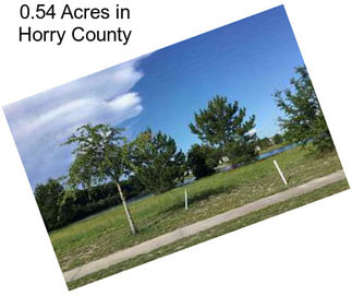 0.54 Acres in Horry County