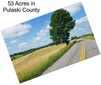 53 Acres in Pulaski County