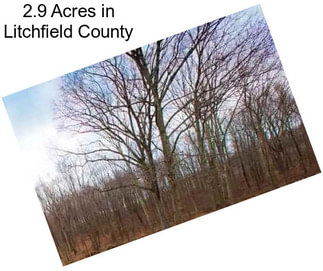 2.9 Acres in Litchfield County