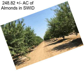 248.82 +/- AC of Almonds in SWID