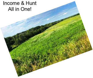 Income & Hunt All in One!