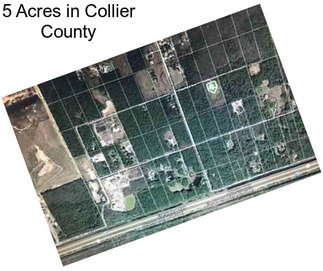 5 Acres in Collier County