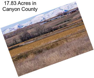 17.83 Acres in Canyon County