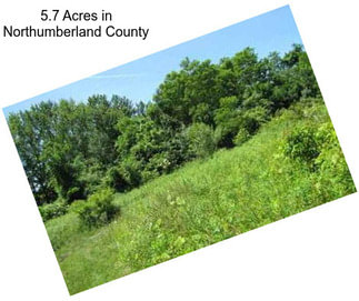 5.7 Acres in Northumberland County