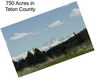 750 Acres in Teton County