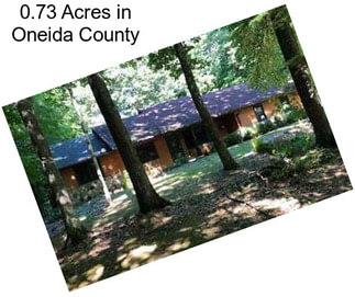 0.73 Acres in Oneida County