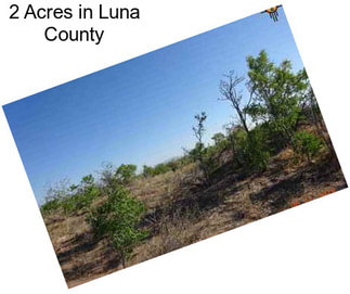 2 Acres in Luna County