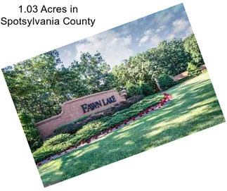 1.03 Acres in Spotsylvania County