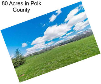 80 Acres in Polk County