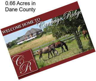 0.66 Acres in Dane County
