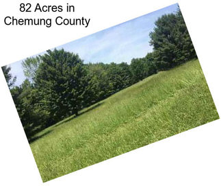 82 Acres in Chemung County