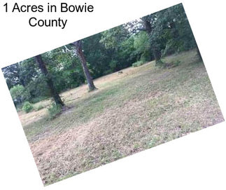 1 Acres in Bowie County