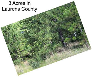 3 Acres in Laurens County