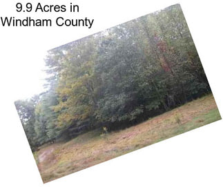 9.9 Acres in Windham County