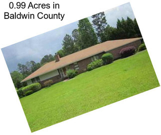 0.99 Acres in Baldwin County