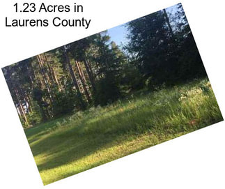 1.23 Acres in Laurens County