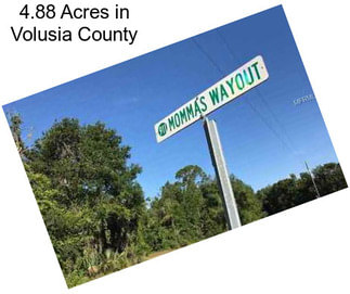 4.88 Acres in Volusia County