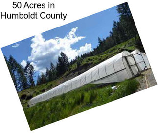 50 Acres in Humboldt County