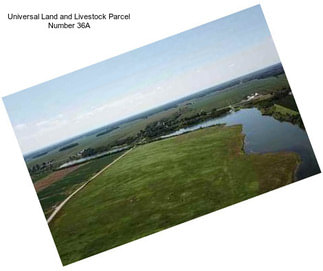 Universal Land and Livestock Parcel Number 36A