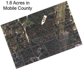 1.6 Acres in Mobile County