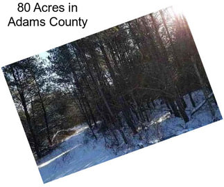 80 Acres in Adams County