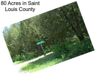 80 Acres in Saint Louis County