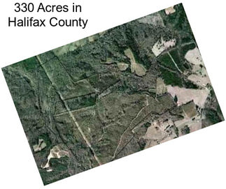 330 Acres in Halifax County