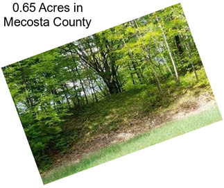 0.65 Acres in Mecosta County