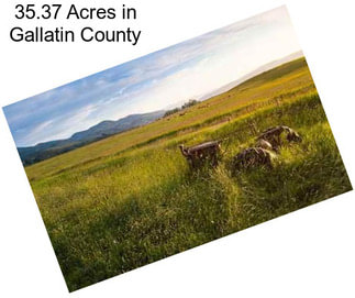 35.37 Acres in Gallatin County