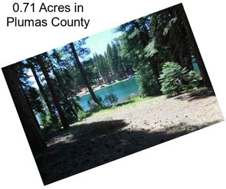 0.71 Acres in Plumas County