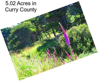 5.02 Acres in Curry County