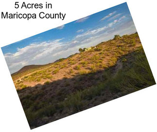 5 Acres in Maricopa County