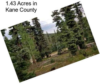 1.43 Acres in Kane County