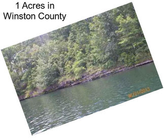 1 Acres in Winston County