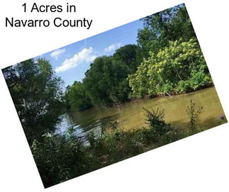 1 Acres in Navarro County