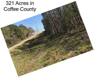 321 Acres in Coffee County