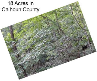 18 Acres in Calhoun County