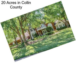 20 Acres in Collin County