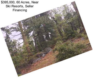 $395,000, 60 Acres, Near Ski Resorts, Seller Financing