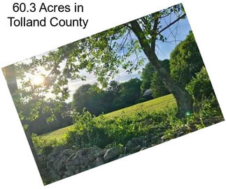 60.3 Acres in Tolland County