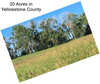 20 Acres in Yellowstone County